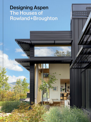 Designing Aspen - ebook